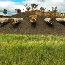 In a grass plain, a pile of dirt has logs sticking out of it in a circular shape.