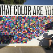 A white wall features the text, what color are you, and various swatches of different colored paints.