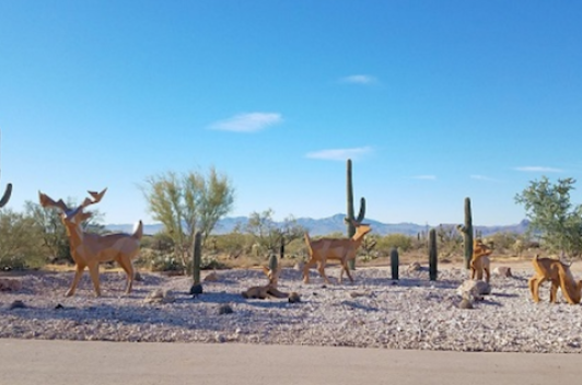 Sculptures along a desert road. Sculptures are cows and cacti