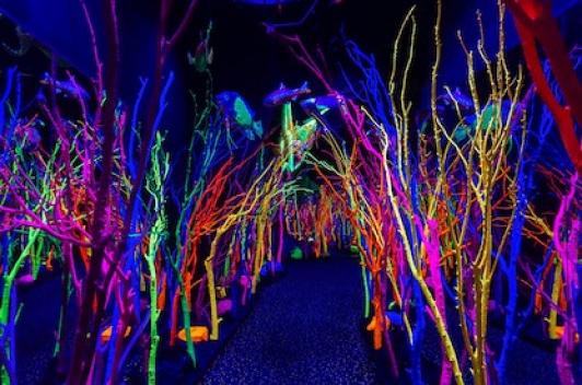 Inside a building, a forest with the trees painted in neon colors a path through the middle.