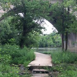 Underneath a bridge is a sidewalk beside a river and through the greenery growing around and on the bridge.