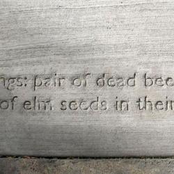 On the concrete sidewalk is written a poem.