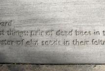 On the concrete sidewalk is written a poem.